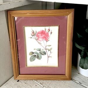 Rose Art Wood Framed Redoute Rosa Centifolia Anglica Rubra Lithograph Vintage